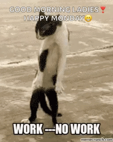 Person Dancing in Living Room Monday Workout
