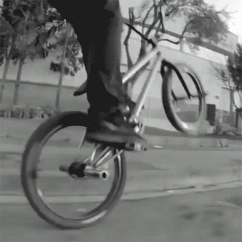 Person Doing Bike Trick