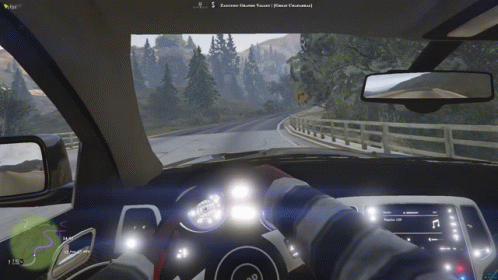 Person Driving Car
