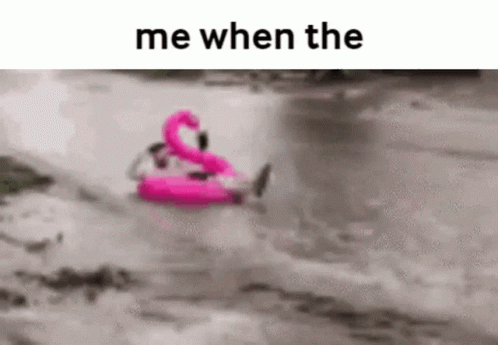 Person Floating On Pink Flamingo GIF
