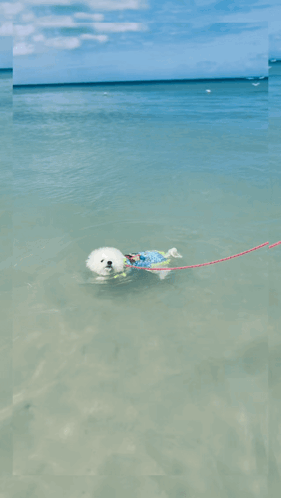 Person Floating on Raft in Ocean