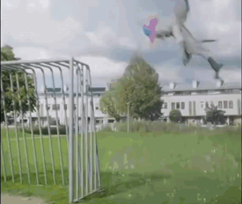 Person Flying Kite Over Soccer Goal