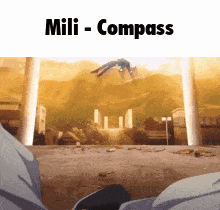 Person Flying Mili Compass GIF