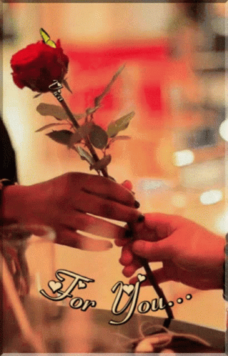 Person Giving Rose with For You