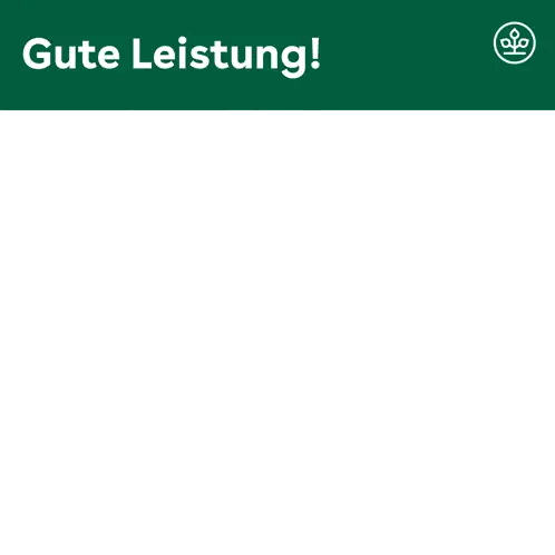 Person Giving Thumbs Up Gute Leitung
