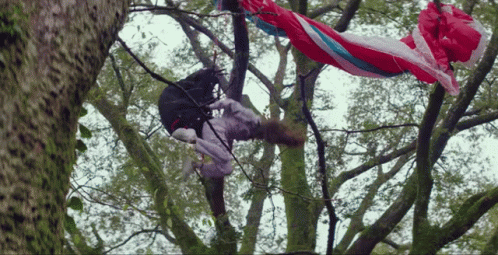 Person Hanging From Tree Branch With Red White Blue Blanket GIF