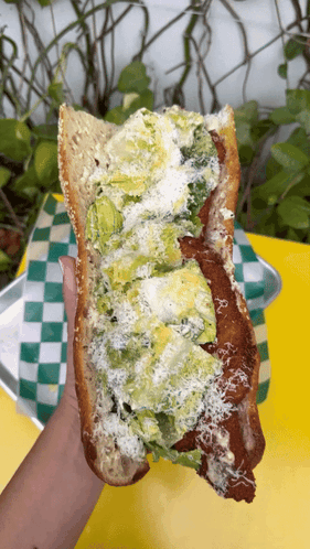 Person Holding Avocado Cheese Sandwich