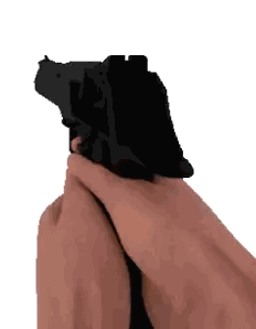 Person Holding Black Gun