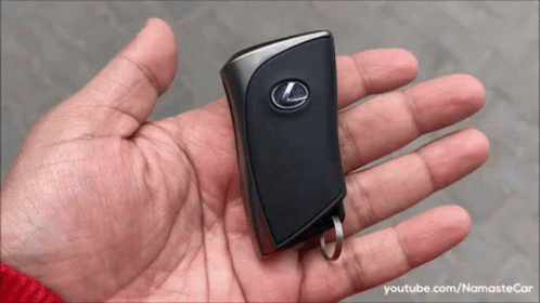 Person Holding Black Lexus Car Key