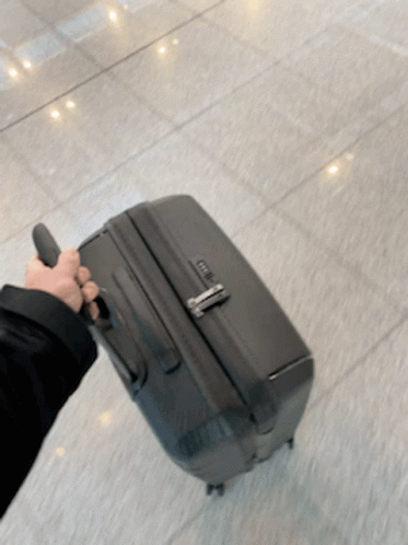 Person Holding Black Suitcase With Zipper GIF