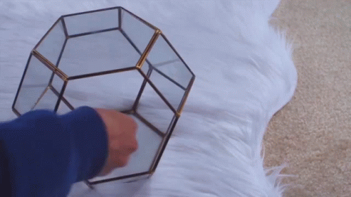 Person Holding Blue Ball In Glass Container GIF