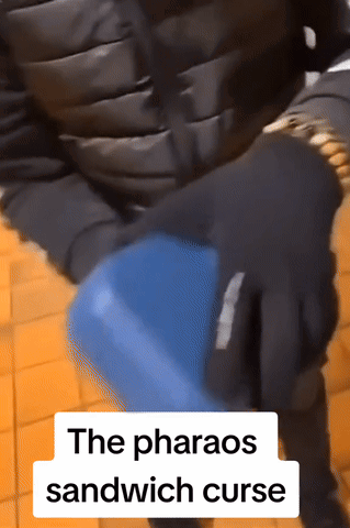 Person Holding Blue Object with The Pharaos Sandwich Curse