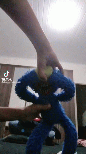Person Holding Blue Stuffed Animal With Face