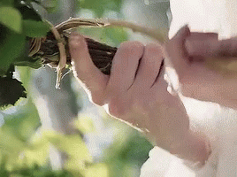 Person Holding Branch