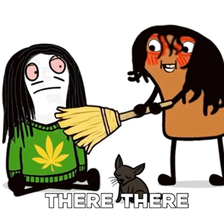 Person Holding Broom Next to Cat There There