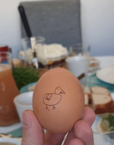 Person Holding Brown Egg With Chicken Drawing