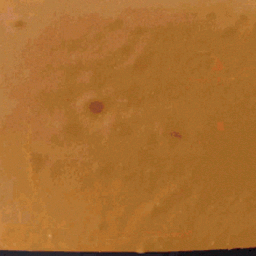 Person Holding Brown Paper With Hole GIF