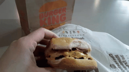 Person Holding Burger King Sandwich