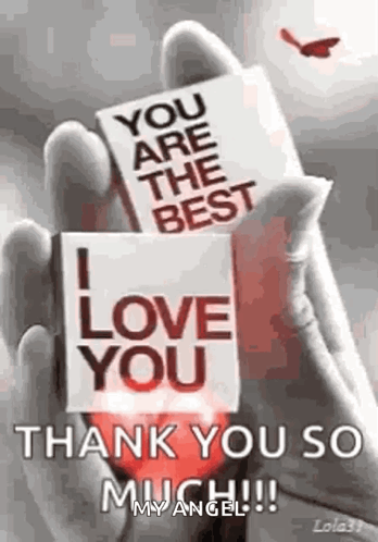 Person Holding Card Saying You Are the Best I Love You