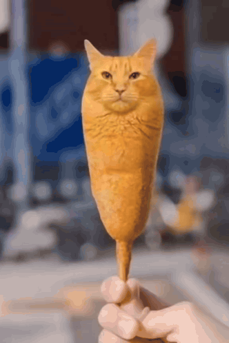 Person Holding Cat-Shaped Ice Cream