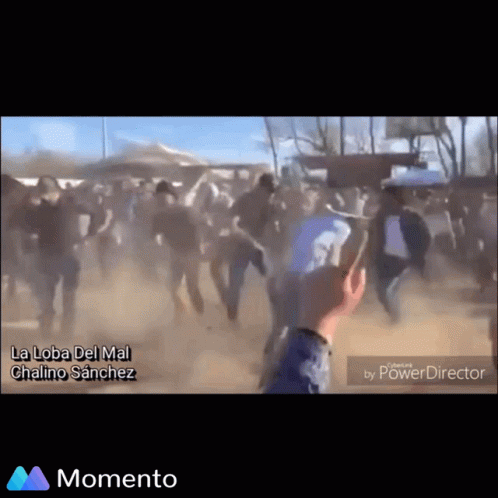 Person Holding Cell Phone in Crowd La Loba del Mal