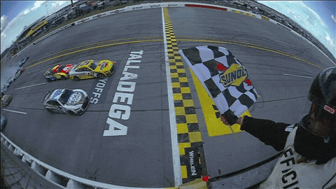Person Holding Checkered Flag Talladega GIF