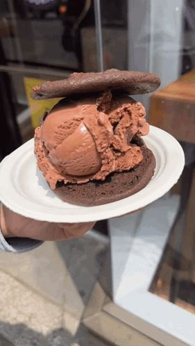 Person Holding Chocolate Ice Cream and Cookie