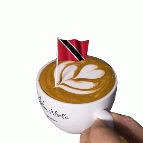 Person Holding Coffee Cup Saying Aliola