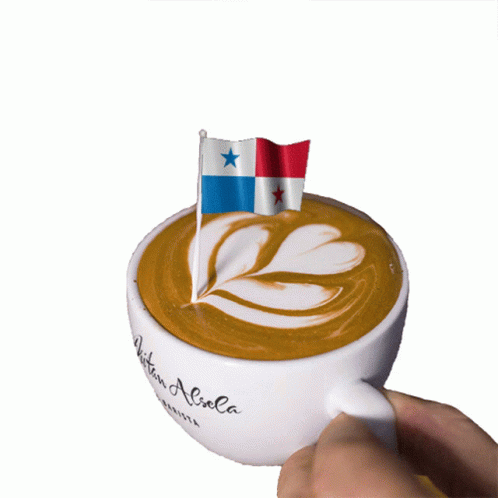 Person Holding Coffee Cup with Flag