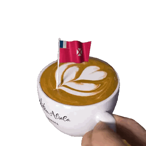 Person Holding Coffee Cup With Flag