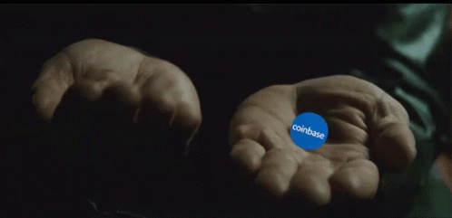 Person Holding Coinbase Coin