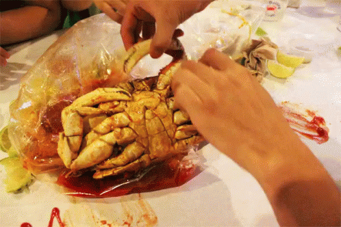 Person Holding Crab In Plastic Bag GIF