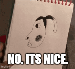 Person Holding Dog Drawing Saying No Its Nice