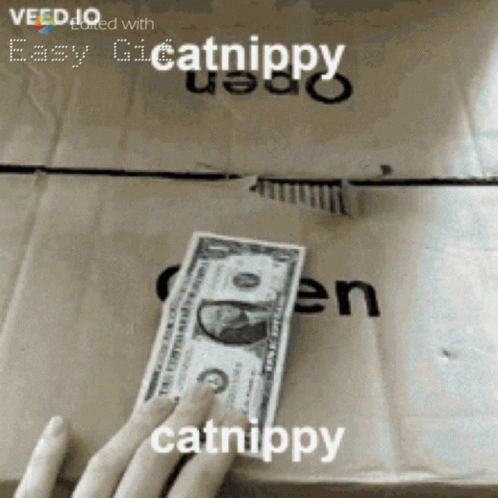 Person Holding Dollar Bill in Front of Box Saying Easy Catnippy