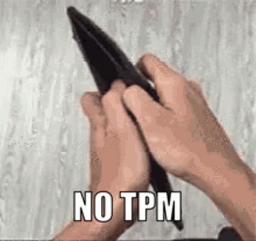 Person Holding Empty Wallet Says No TPM