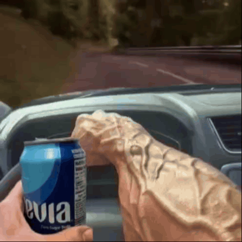 Person Holding Evian Can