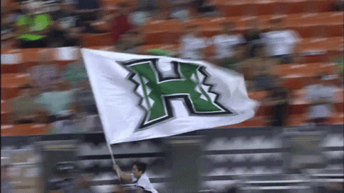 Person Holding Flag With Letter H