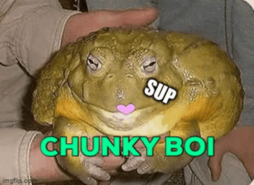 Person Holding Frog With Chunky Boi