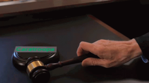 Person Holding Gavel in Front of Caratroopa Sign