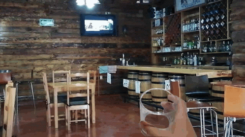 Person Holding Glass at Bar