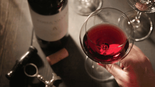 Person Holding Glass Of Red Wine GIF