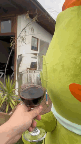 Person Holding Glass Of Red Wine GIF
