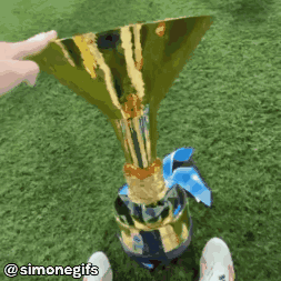 Person Holding Gold Trophy with Blue Ribbon