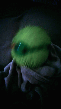 Person Holding Green Ball in Dark
