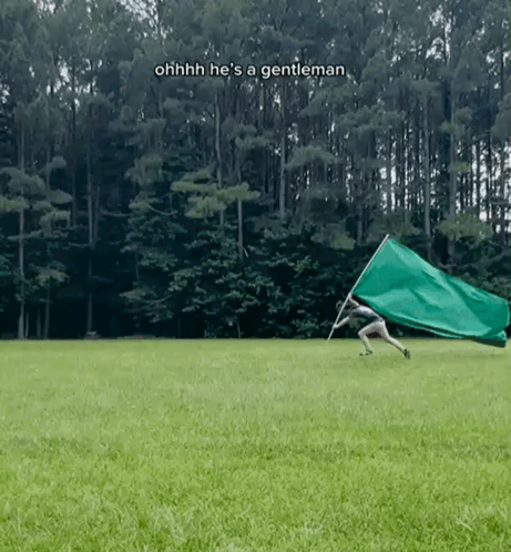 Person Holding Green Flag Ohhh Hes a Gentleman