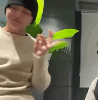 Person Holding Green Leaf in Beanie