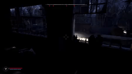 Person Holding Gun Looking Out Window