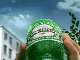 Person Holding Heineken Bottle GIF