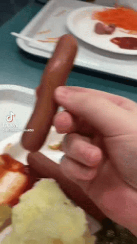 Person Holding Hot Dog in Front of Food Tray