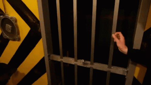 Person Holding Jail Cell Bars